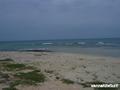 foto de kite