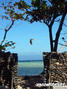 foto de kite