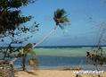 foto de kite