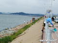 foto de kite