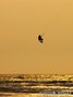 foto de kite