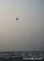 foto de kite