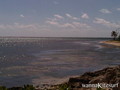 foto de kite