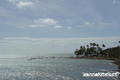 foto de kite