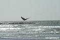 foto de kite