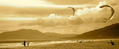 foto de kite