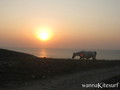 foto de kite