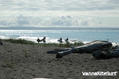 foto de kite