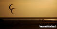 foto de kite