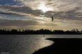 foto de kite