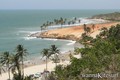 foto de kite