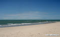 foto de kite