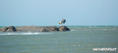 foto de kite