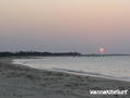 foto de kite
